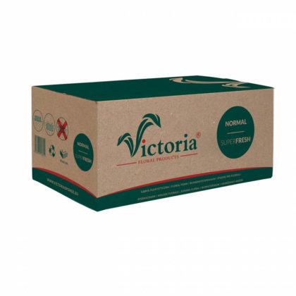 Gąbka florystyczna VICTORIA Normal – karton