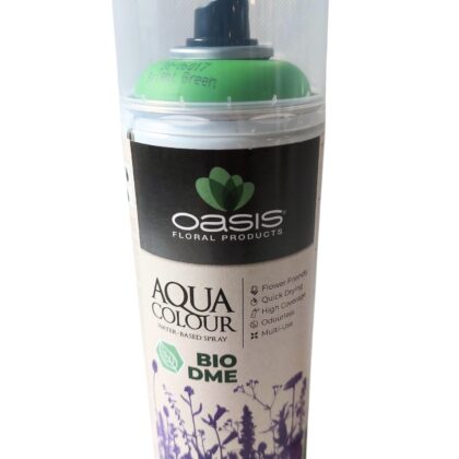 OASIS® Aqua Colour Spray Bright Green