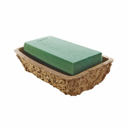 OASIS® BIOLIT® Misa Neo